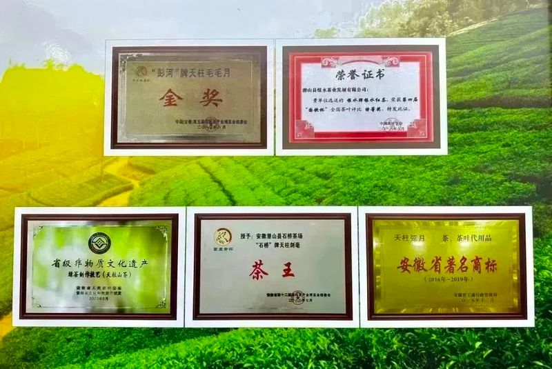 有关于春茶中国行⑦亮剑!中国茶高品质“潜力股”的内容(3)