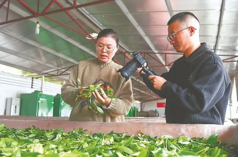 有关于三明市尤溪县台溪乡的最新消息(6)