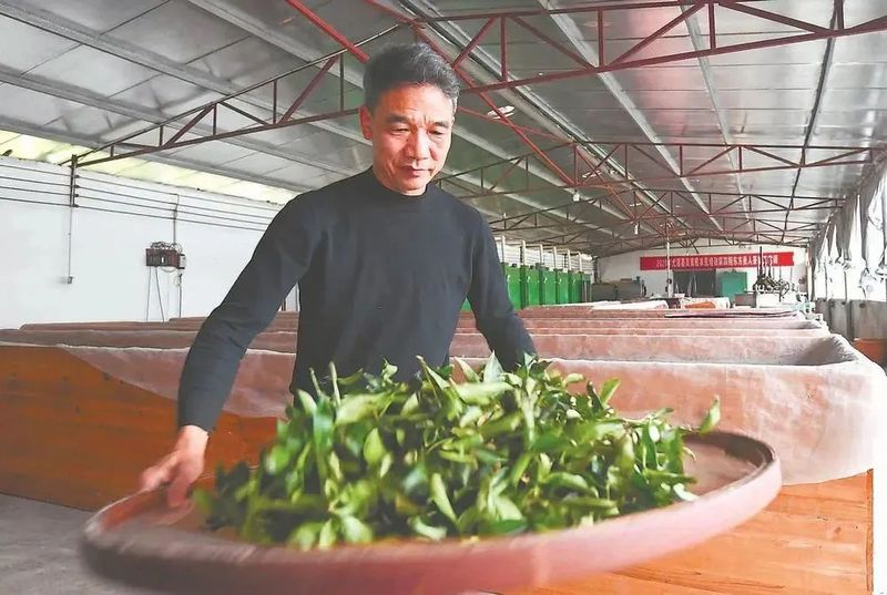 有关于三明市尤溪县台溪乡的最新消息(4)