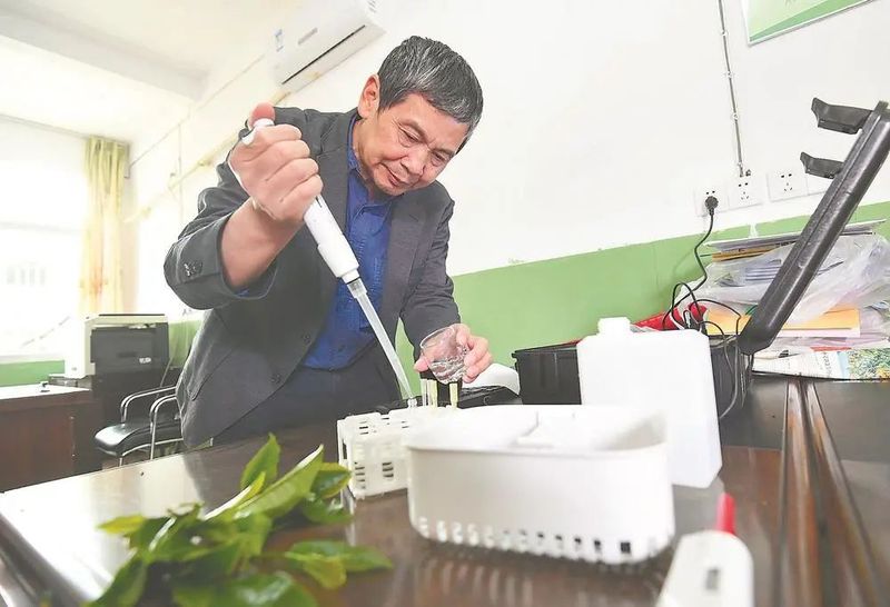 有关于三明市尤溪县台溪乡的最新消息(2)