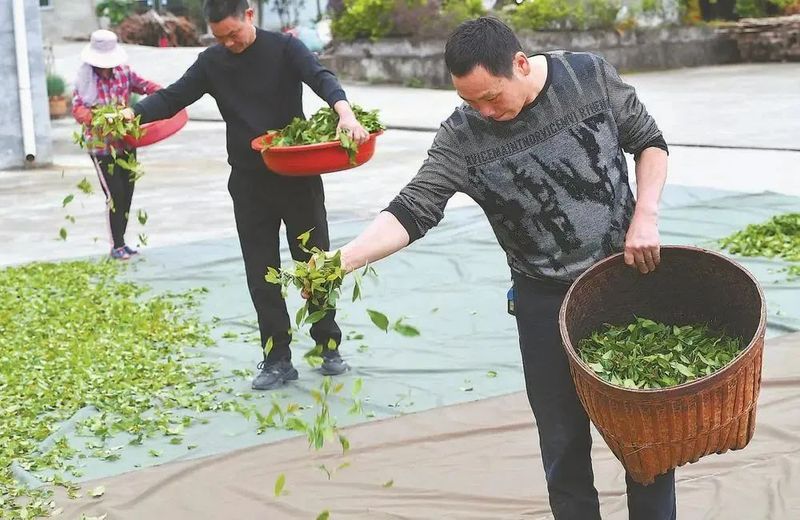 有关于三明市尤溪县台溪乡的最新消息(3)