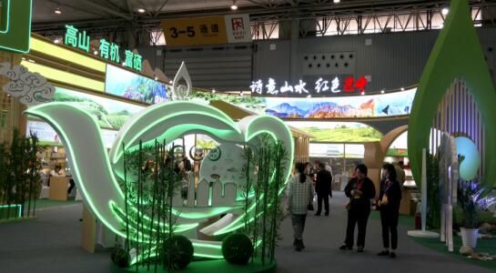 关于茶博会期间 “通江茶”销售突破40万元的资讯(2)