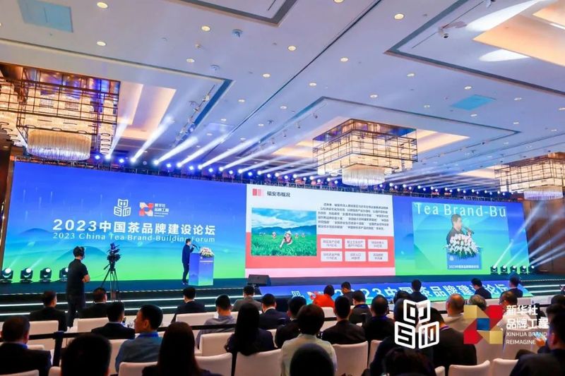 关于坦洋工夫获评“2023大众喜爱的中国茶品牌”！的相关内容