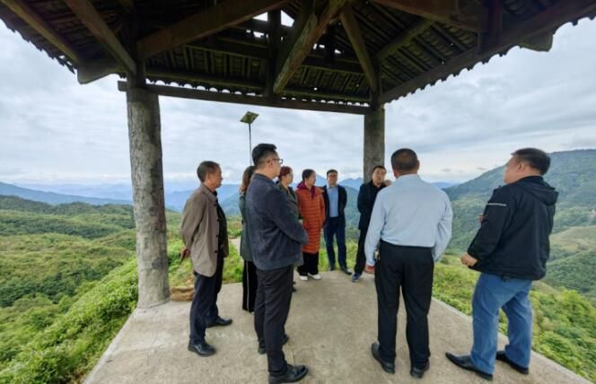 关于九三学社黔南州委赴三都县调研茶产业发展情况的相关信息