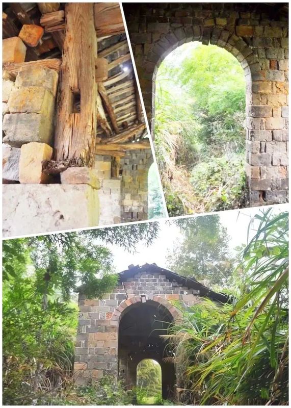 关于百强县市大冶竟然藏着茶，1000年前苏轼亲自代言并诗传至今的内容(8)