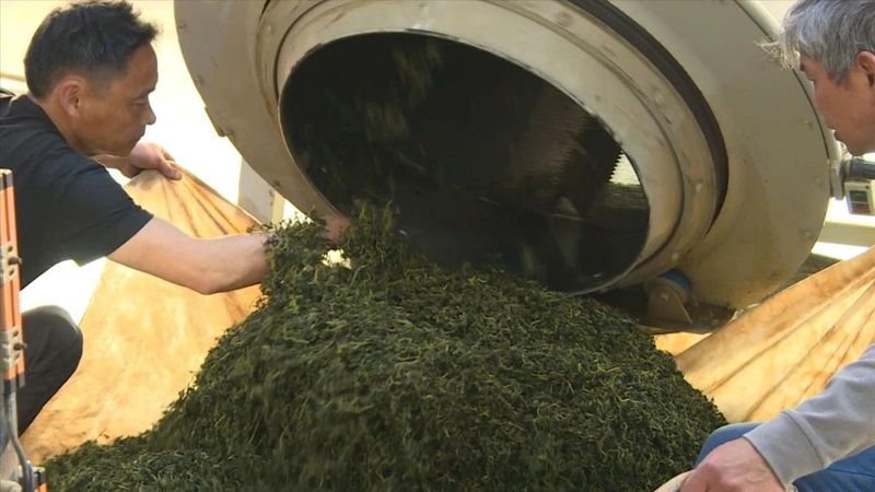 有关于赖源黄宗：谱写“茶文章” 做活“茶经济”的相关内容(3)