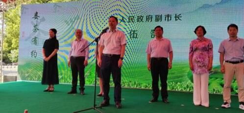 关于第四届娄底全民品茶文化节开幕，发出娄茶“三问，助力茶业三能”的内容(1)