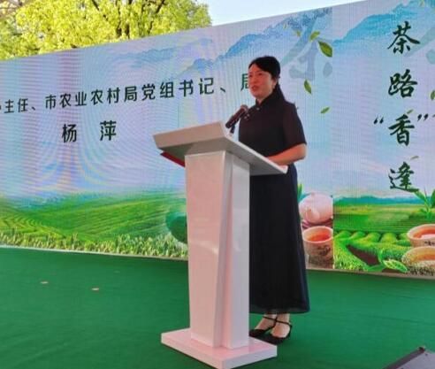 关于第四届娄底全民品茶文化节开幕，发出娄茶“三问，助力茶业三能”的内容(2)