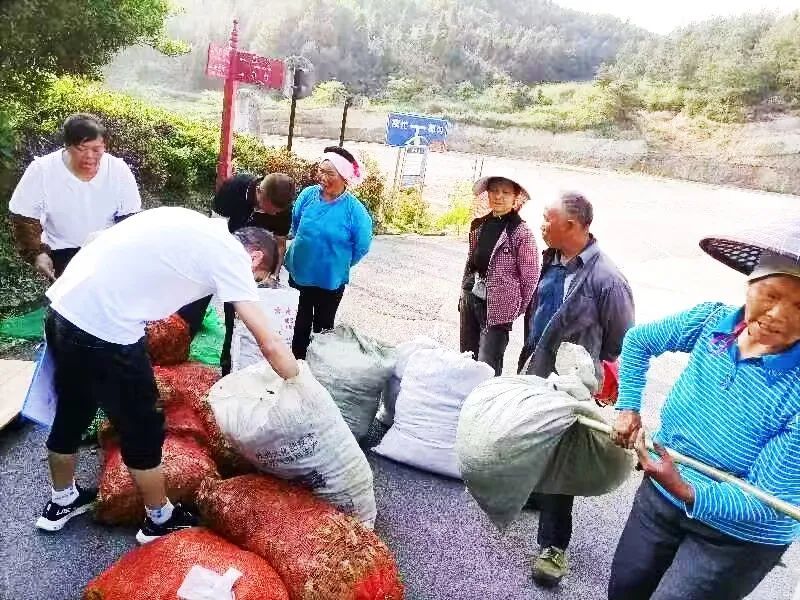 关于毛尖镇：夏秋茶采摘正当时的消息(4)