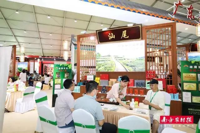 有关于茶叙场景在2023潮州工夫茶大会上呈现的信息(11)