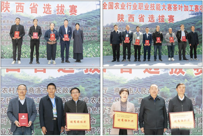 关于全国农业行业职业技能大赛茶叶加工赛项陕西省选拔赛在商南成功举办的资讯(2)
