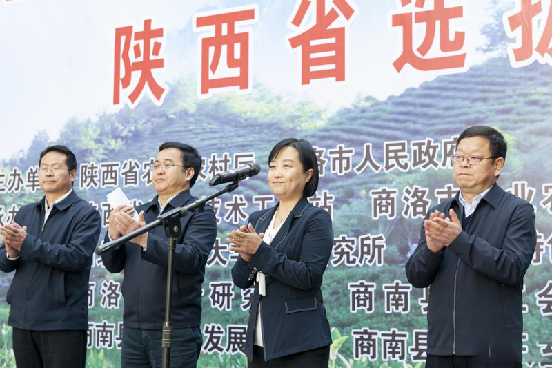 关于全国农业行业职业技能大赛茶叶加工赛项陕西省选拔赛在商南成功举办的资讯