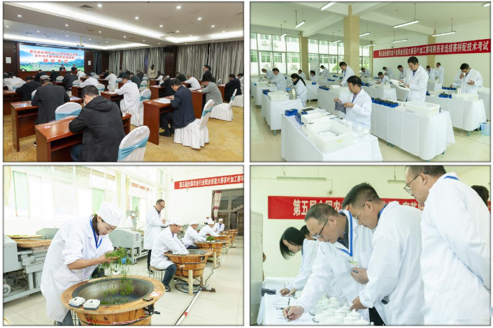 关于全国农业行业职业技能大赛茶叶加工赛项陕西省选拔赛在商南成功举办的资讯(1)