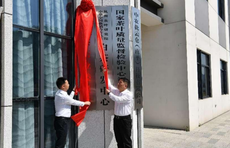 关于践行“三茶”理念 做强政和白茶  党建引领“三茶”统筹发展的相关信息