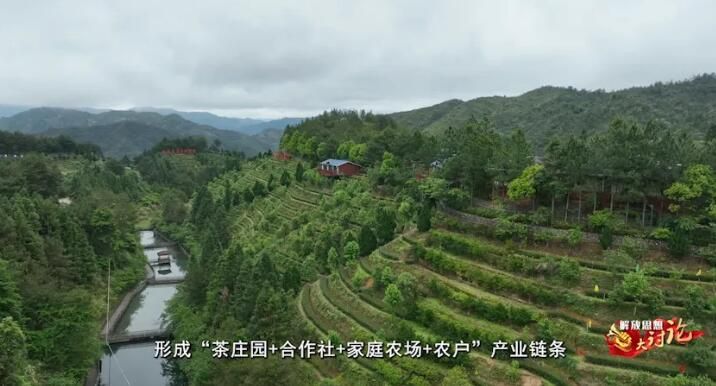 关于龙涓乡：厚植绿色发展，打造生态茶旅康养新镇的相关信息(3)