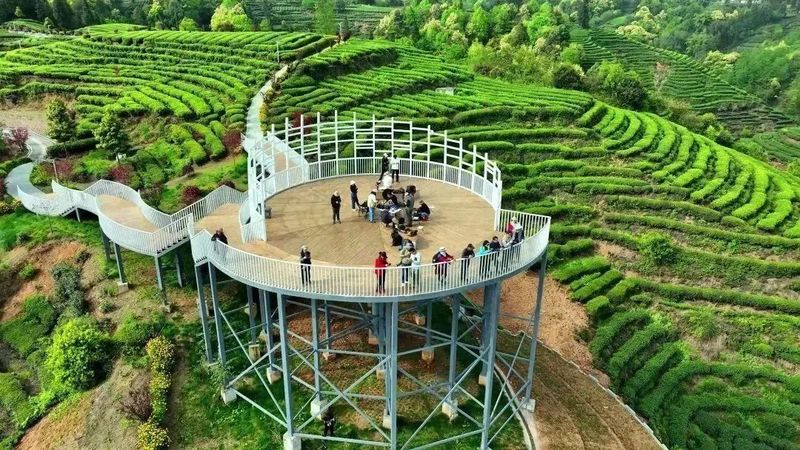 有关于名山区：深化茶旅融合 助推乡村振兴的内容(1)