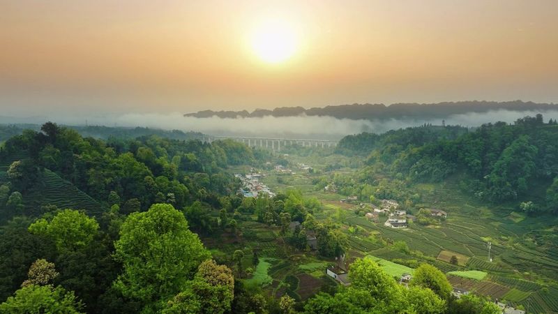 有关于名山区：深化茶旅融合 助推乡村振兴的内容