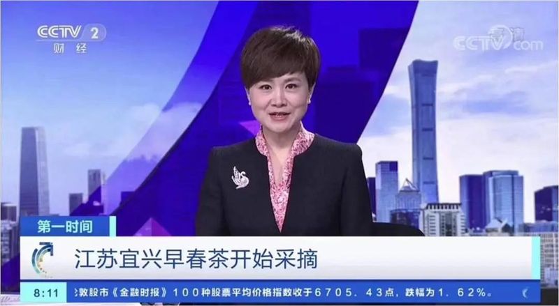 关于“宜兴红” 茶产业引领下的乡村振兴之路的相关信息(12)