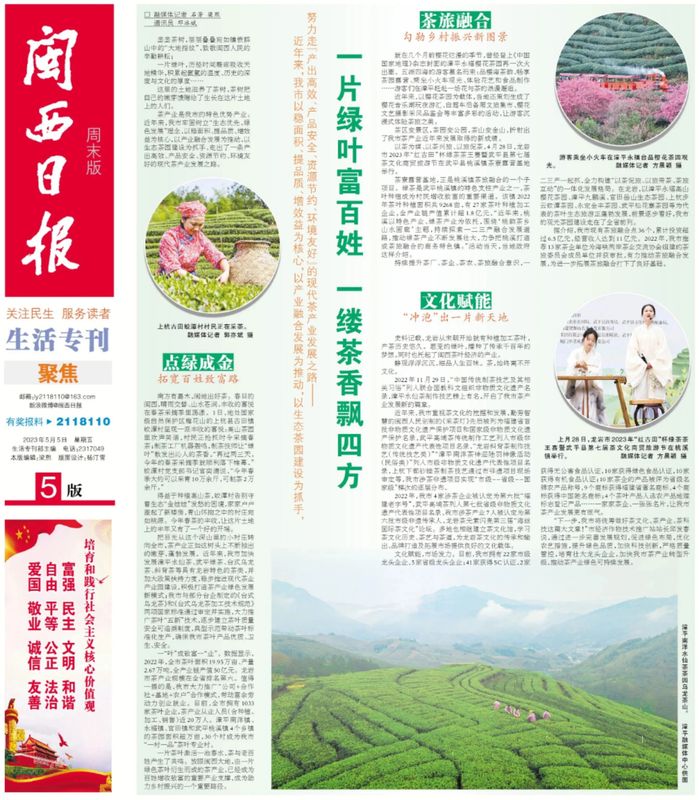 关于龙岩:一片绿叶富百姓 一缕茶香飘四方的信息