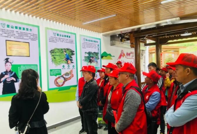 有关于台江:“茶博士”搭建乡村人才“蓄水池”的内容(2)