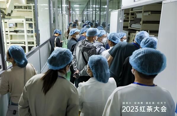 有关于2023红茶大会红茶节在临沧市凤庆县举行的相关内容(1)