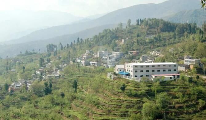 有关于云南凤庆：一片茶叶拓宽茶农的增收路子的消息