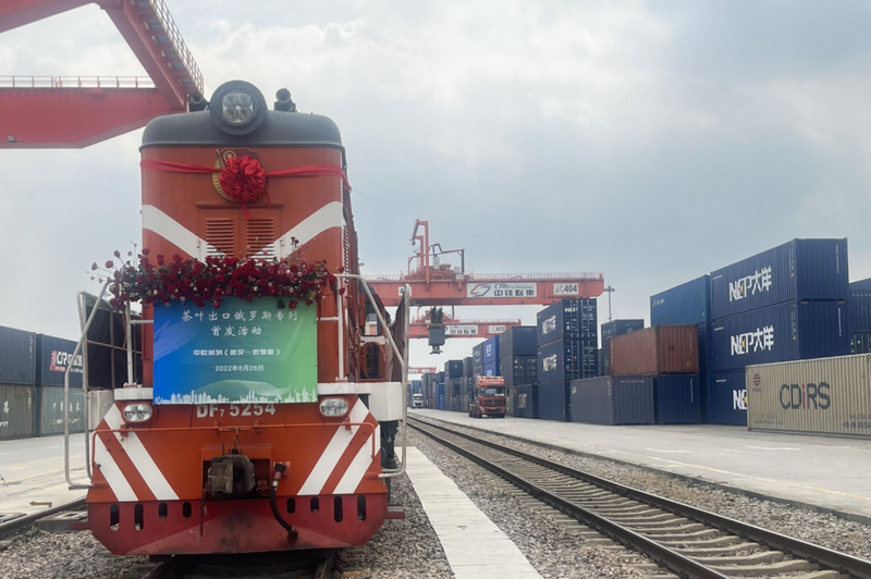 关于“一带一路”十周年，这场盛会如何照见中国茶未来？的资讯(2)