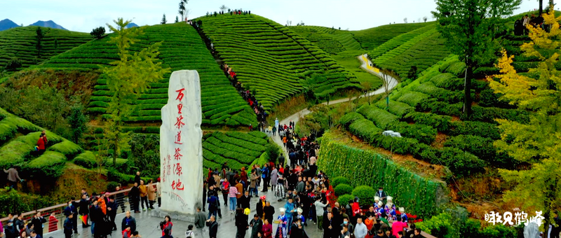 关于“一带一路”十周年，这场盛会如何照见中国茶未来？的资讯(4)