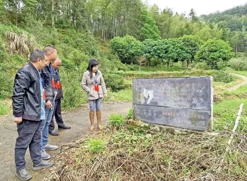 关于泉上镇：做足“茶文章”，撬动“茶经济”的相关信息