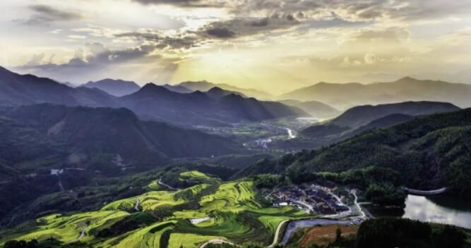 关于政和白茶、政和工夫再登百强榜，两大品牌价值超百亿！的相关信息(2)