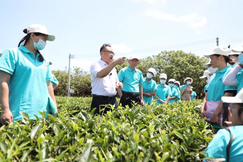 关于2023年海南省茶叶生产技术人员培训班在白沙开班的最新消息(2)