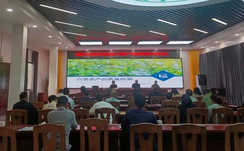 有关于苍梧县市场监管局服务六堡茶产业高质量发展的内容(1)