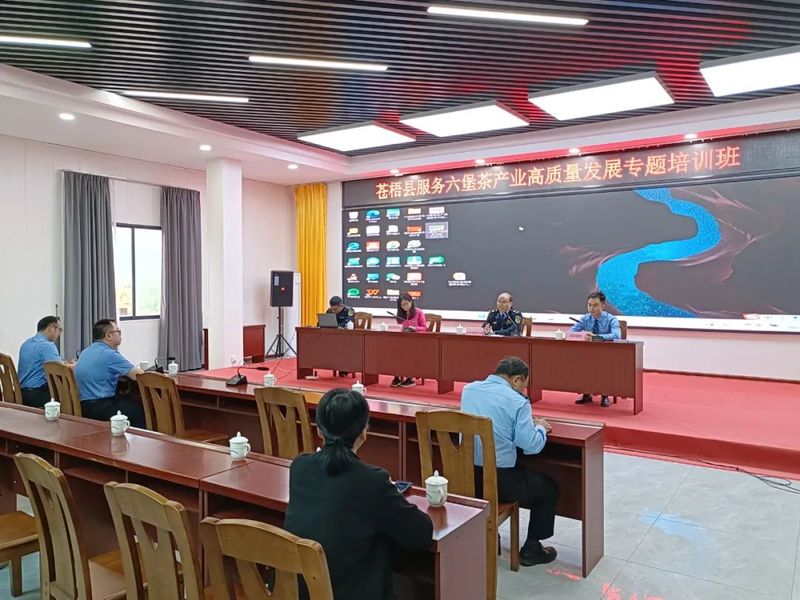 有关于苍梧县市场监管局服务六堡茶产业高质量发展的内容