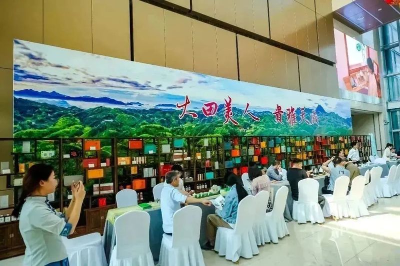 关于2023国际茶日暨第四届大田美人茶开茶节·大田县文旅推介会成功举办的信息(21)