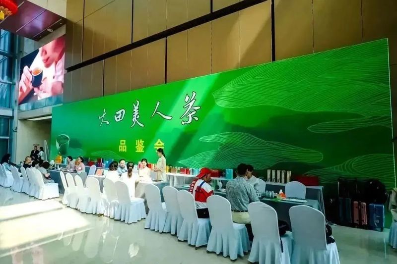 关于2023国际茶日暨第四届大田美人茶开茶节·大田县文旅推介会成功举办的信息(16)