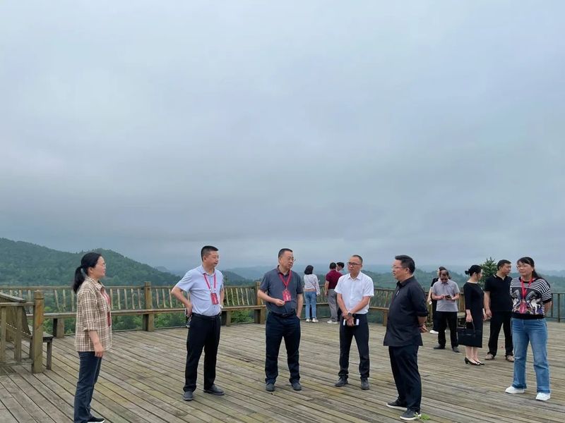 关于石阡县人大常委会调研组到五德镇调研生态茶产业发展情况的信息