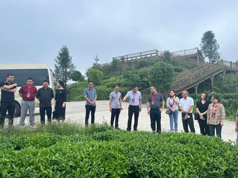 关于石阡县人大常委会调研组到五德镇调研生态茶产业发展情况的信息(1)