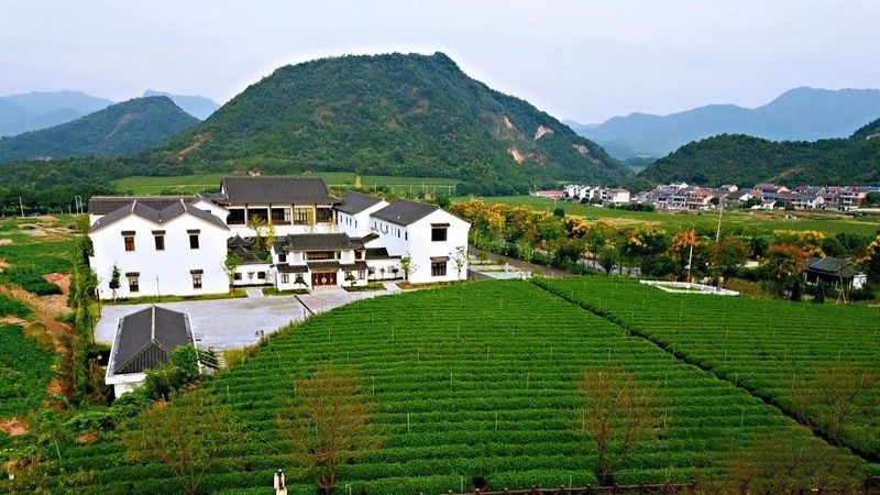 有关于越茶博物馆获评浙江省乡村博物馆的信息