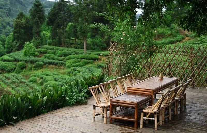 关于以茶带旅以旅促茶 雅安市名山区绘制“茶旅融合”新画卷的信息(1)