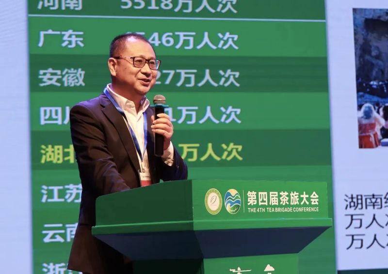 关于拓宽思路，探寻未来，看“世界茶旅之乡”续写茶旅融合新篇章的消息(13)