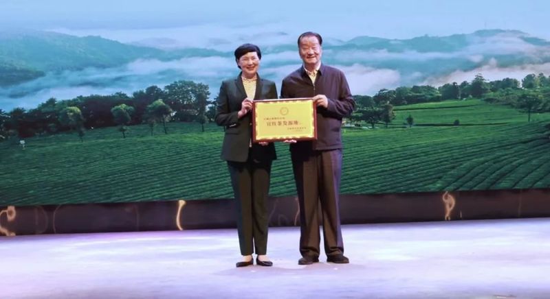 关于拓宽思路，探寻未来，看“世界茶旅之乡”续写茶旅融合新篇章的消息(7)