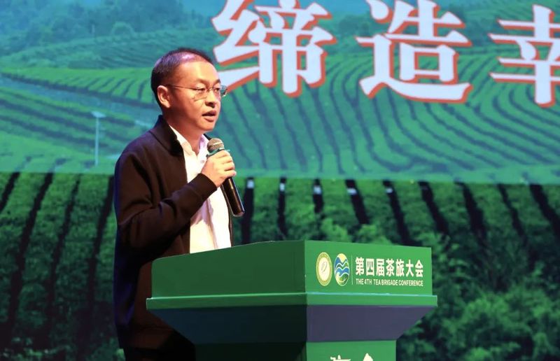 关于拓宽思路，探寻未来，看“世界茶旅之乡”续写茶旅融合新篇章的消息(11)