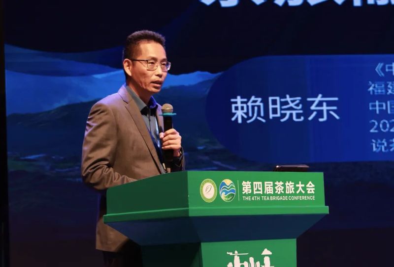 关于拓宽思路，探寻未来，看“世界茶旅之乡”续写茶旅融合新篇章的消息(12)