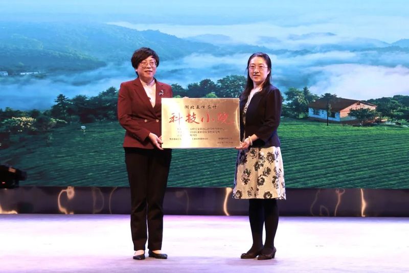 关于拓宽思路,探寻未来,看“世界茶旅之乡”续写茶旅融合新篇章的消息(6)