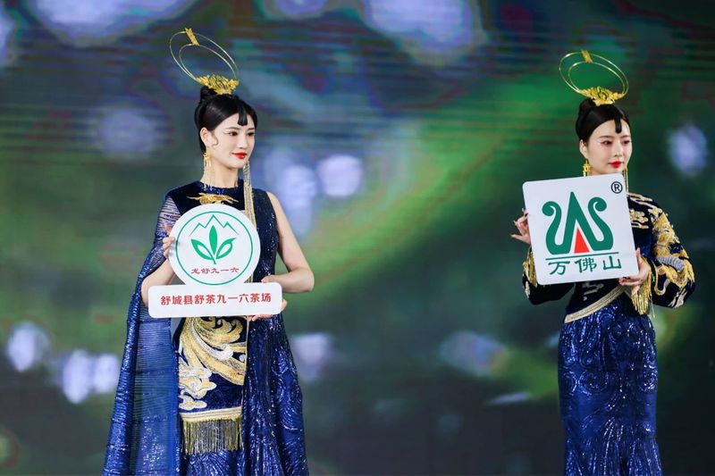 有关于万佛山水情，舒城兰花香：舒城小兰花专场推介会在合肥成功举办！的内容(6)