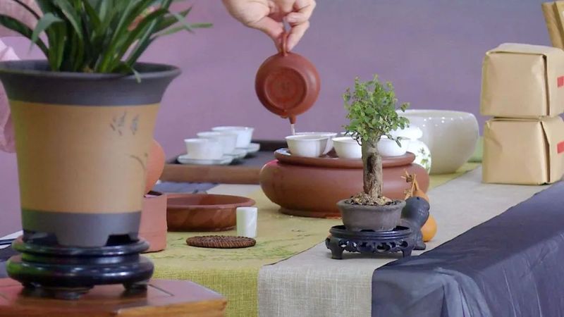 关于2023潮州工夫茶冲泡大赛决赛举行的内容(1)