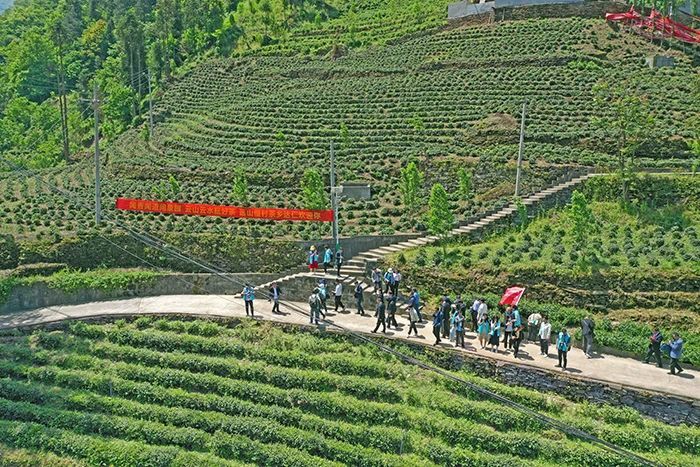 有关于第四届陕西网上茶博会镇安专场活动启动的消息(3)