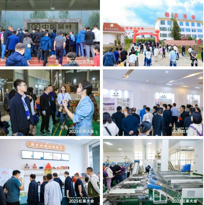 有关于深度解析2023红茶大会!茶产业增长密码藏着这些关键信息之中的消息(8)