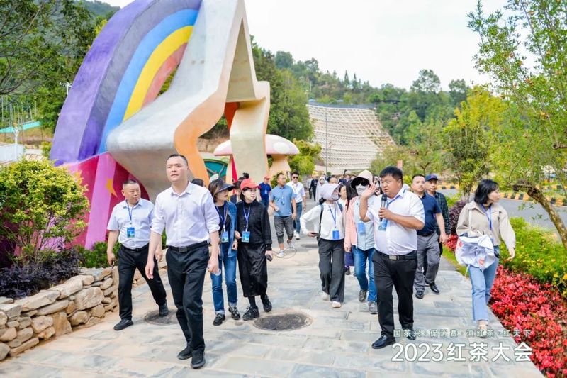 有关于深度解析2023红茶大会!茶产业增长密码藏着这些关键信息之中的消息(10)