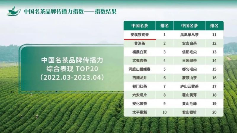 有关于安溪铁观音位列“中国名茶品牌传播力指数”第一名的消息(3)